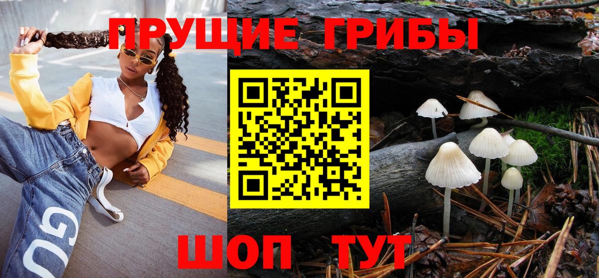 Псилоцибиновые грибы прущие грибы  Вход с VPN  Фурманов 