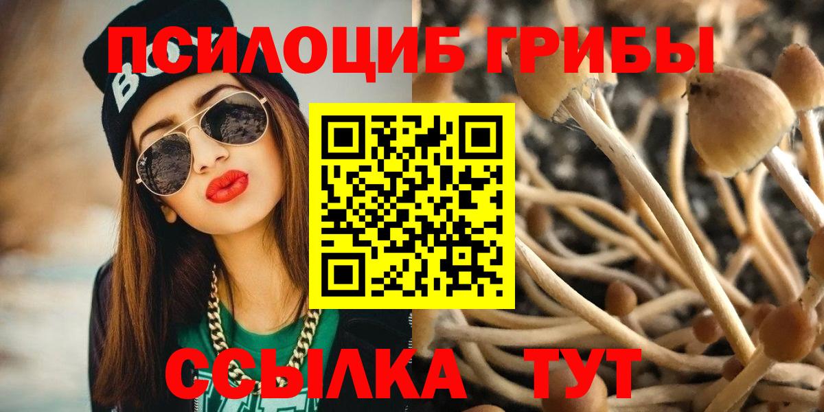 Галлюциногенные грибы Magic Shrooms Фурманов